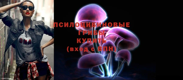 дмт Заволжск
