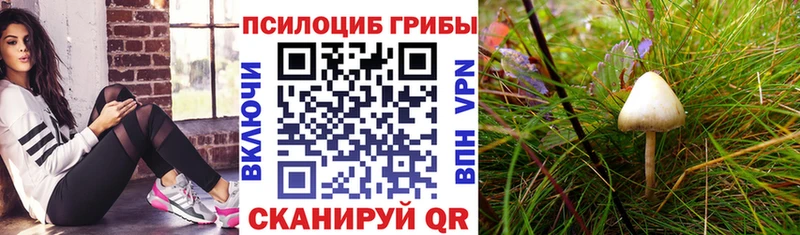продажа наркотиков Ивантеевка гидра ССЫЛКА Псилоцибиновые грибы ЛСД